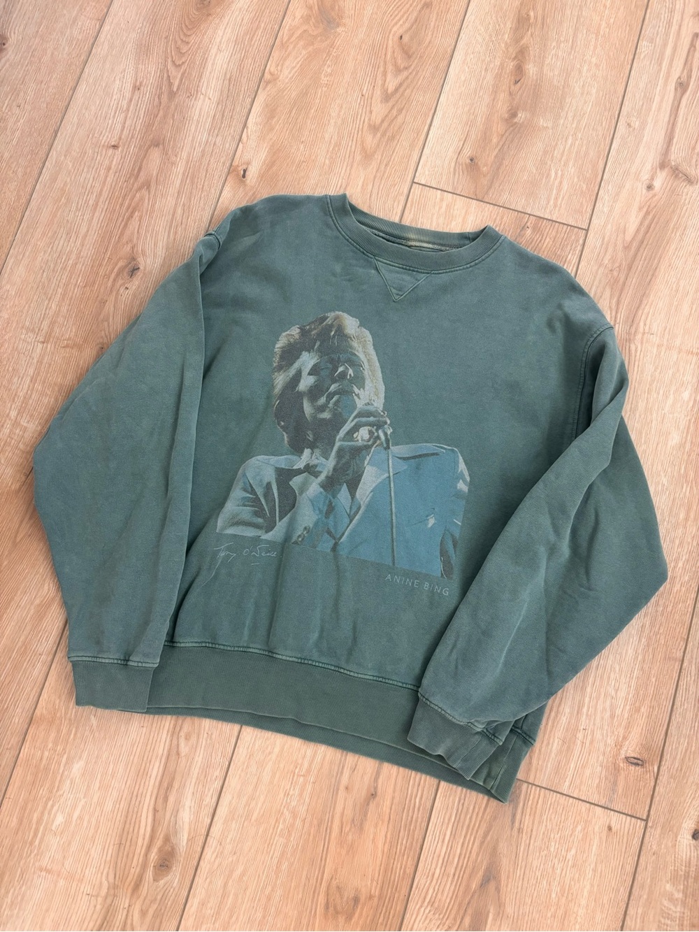 Anine Bing Men's Crewneck Sweatshirt in Washed Green with Graphic